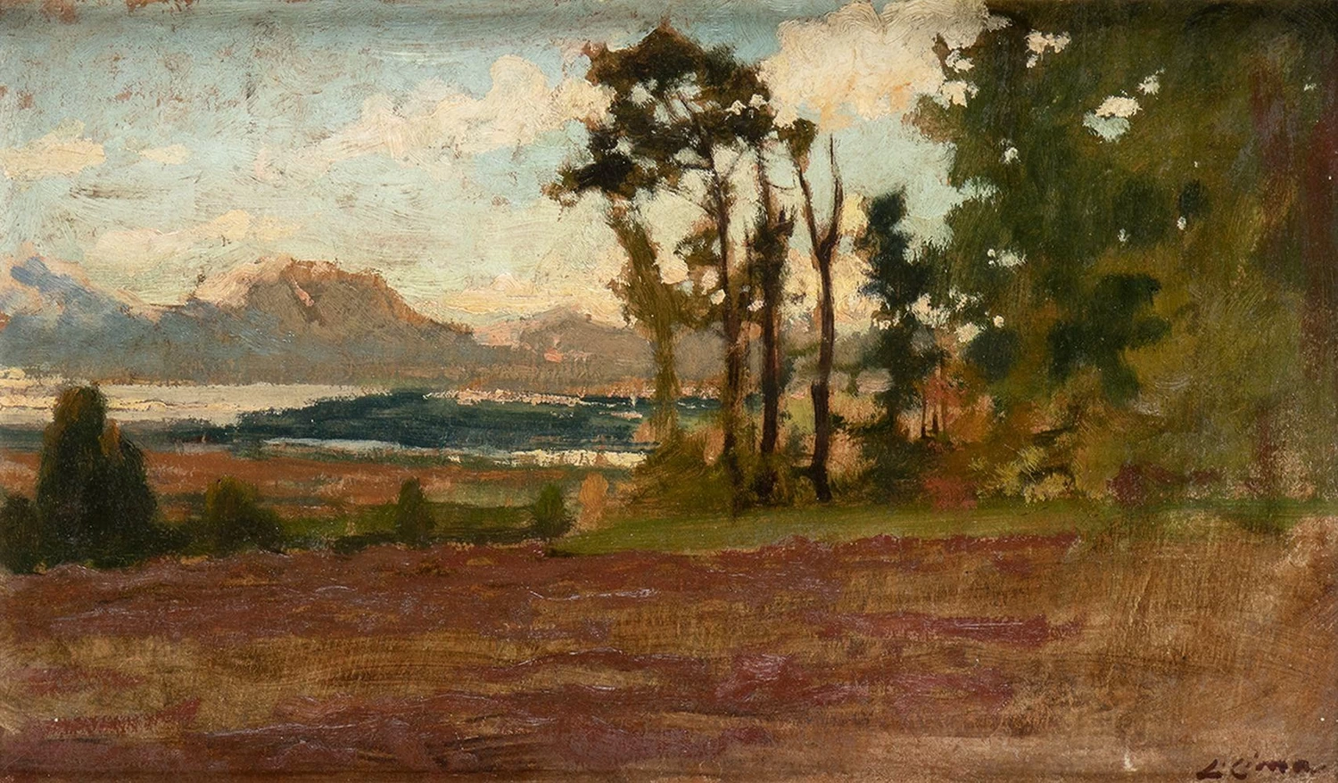 Paesaggio boscoso